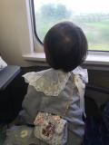 小潘18177611789(微信同号咨询在线)